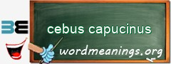 WordMeaning blackboard for cebus capucinus